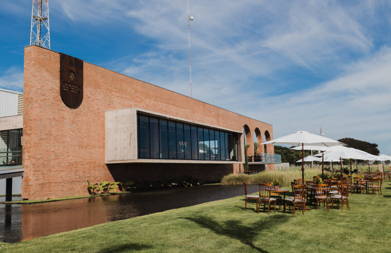 Vinícola Brasília conquista Grande Ouro na França e se destaca entre os vinhos do mundo todo no Vinalies 2026