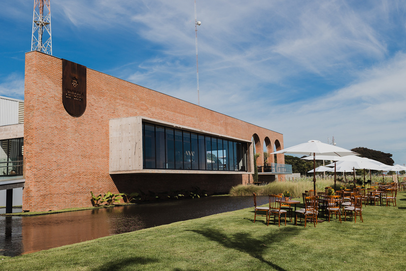 Vinícola Brasília conquista Grande Ouro na França e se destaca entre os vinhos do mundo todo no Vinalies 2026